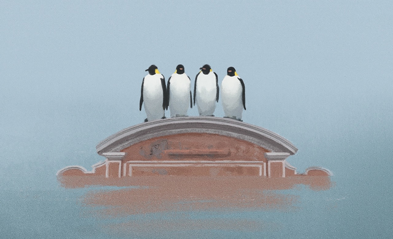 Island 